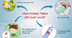 Cách phòng tránh bệnh sốt xuất huyết