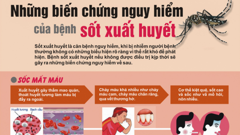 bệnh sốt xuất huyết có nguy hiểm không