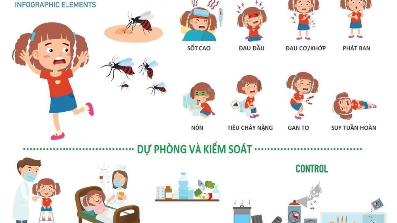 cách phòng tránh bệnh sốt xuất huyết