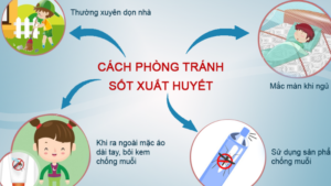 phòng sốt xuất huyết