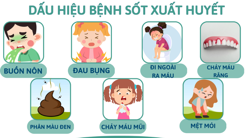 dấu hiệu bệnh sốt xuất huyết