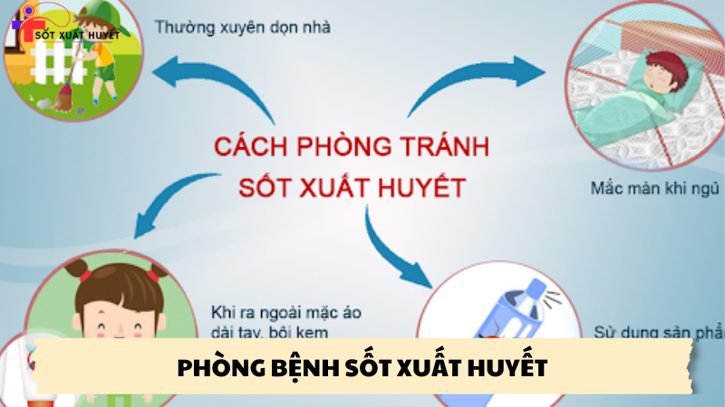 phòng bệnh sốt xuất huyết