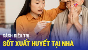 cách điều trị bệnh sốt xuất huyết