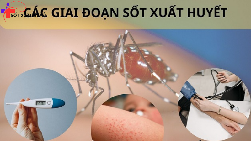 phòng chống bệnh sốt xuất huyết