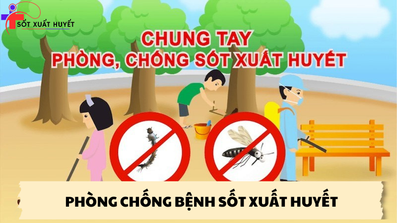 phòng chống bệnh sốt xuất huyết