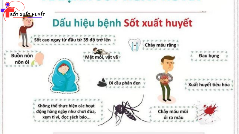 phòng chống bệnh sốt xuất huyết